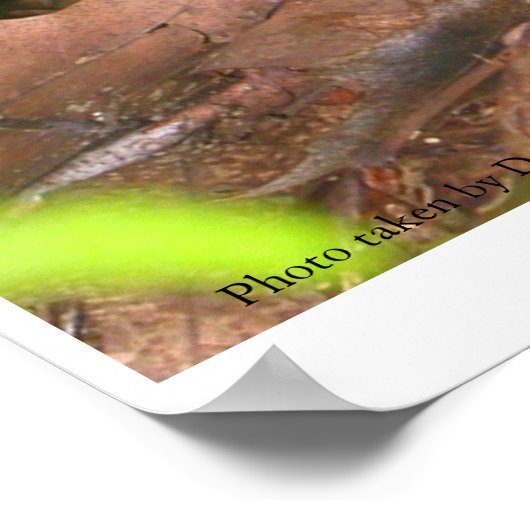 Eet de paddenstoel niet poster (Hoek)