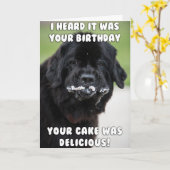 Eet de verjaardagskaart van de taart kaart (Gele Bloem)