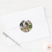 Eet groen, niet ik. ronde sticker (Envelop)