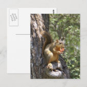 Eet je wortelen briefkaart (Voorkant / Achterkant)