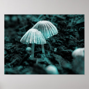 Eet me... Drink me... Poster