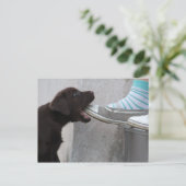 Eet mijn hoefijzer! Labrador Puppy Briefkaart (Staand voorkant)