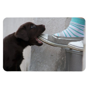 Eet mijn hoefijzer! Labrador Puppy Magneet
