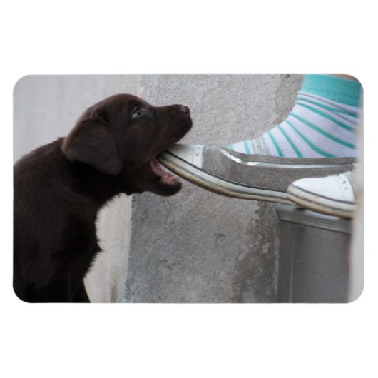 Eet mijn hoefijzer! Labrador Puppy Magneet (Horizontaal)