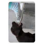 Eet mijn hoefijzer! Labrador Puppy Magneet (Verticaal)