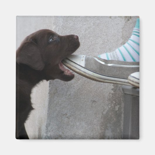 Eet mijn hoefijzer! Labrador Puppy Magneet (Voorkant)