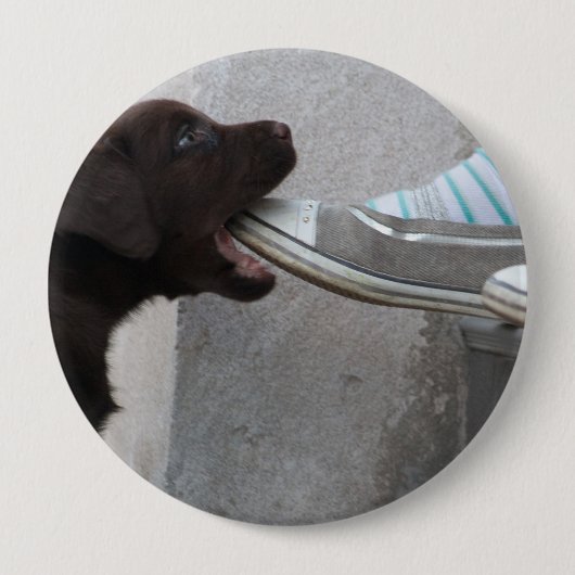 Eet mijn hoefijzer! Labrador Puppy Ronde Button 4,0 Cm (Voorkant)