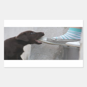 Eet Mijn Schoen! Het Puppy van Labrador Rechthoekige Sticker