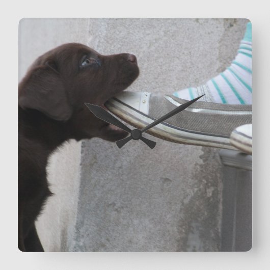 Eet Mijn Schoen! Het Puppy van Labrador Vierkante Klok (Voorkant)
