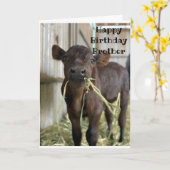 EET TAART NIET HOOI "BROER" VERJAARDAG KAART (Gele Bloem)