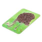 Eet van struisvogels, Waterverf schilfernetten Magneet (Linkerzijde)