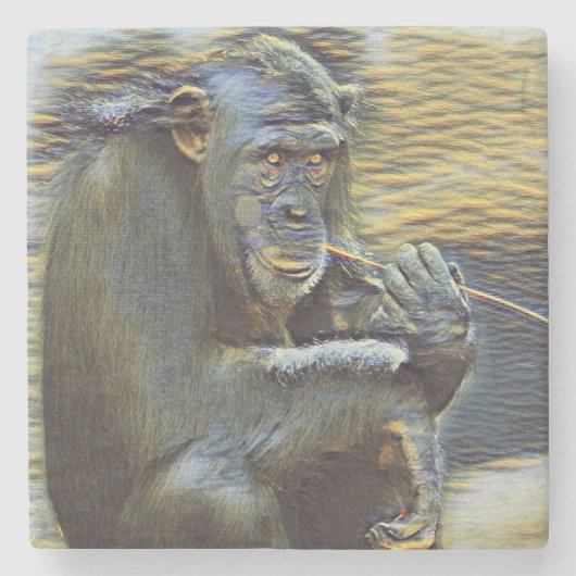 Eetaap Stenen Onderzetter (Voorkant)