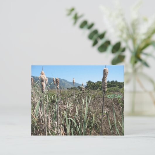 eetbaar briefkaart (Staand voorkant)