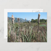 eetbaar briefkaart (Voorkant / Achterkant)