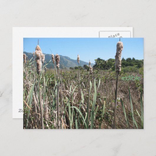 eetbaar briefkaart (Voorkant / Achterkant)