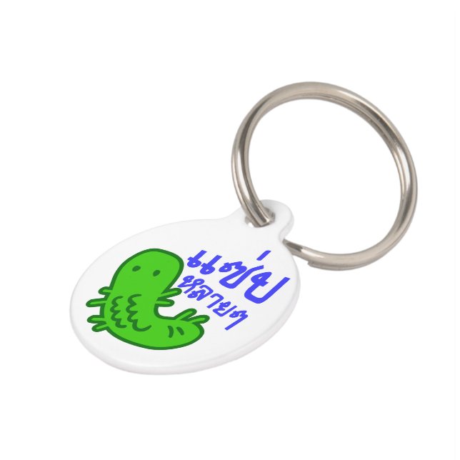 Eetbaar insect > Tasty teveel ♦ Saep Lai ♦ Huisdierpenning (Zijkant)