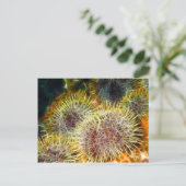 Eetbaar Zee Urchin Briefkaart (Staand voorkant)