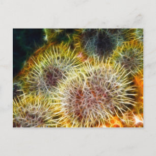 Eetbaar Zee Urchin Briefkaart
