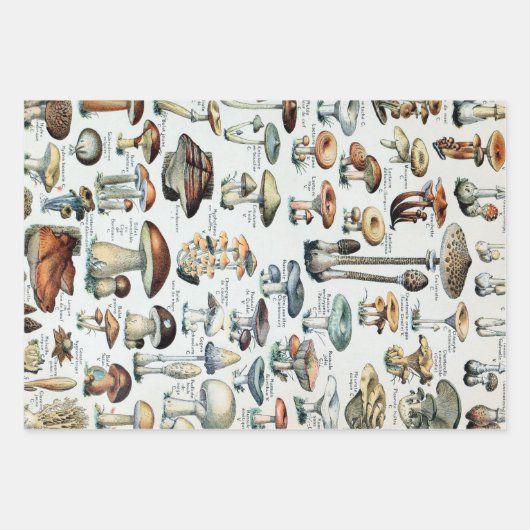 Eetbare paddenstoel Inpakpapier Vel (Voorkant 2)