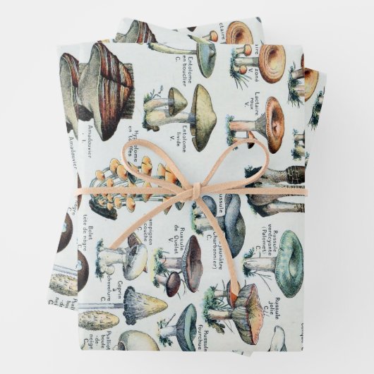 Eetbare paddenstoel Inpakpapier Vel (In situ)