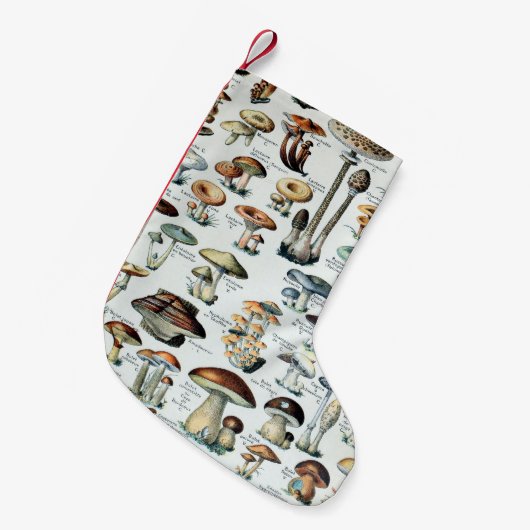 Eetbare paddenstoel Kleine Kerstsok (Voorkant (Hangend))