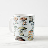 Eetbare paddenstoel Koffiemok (Voorkant links)