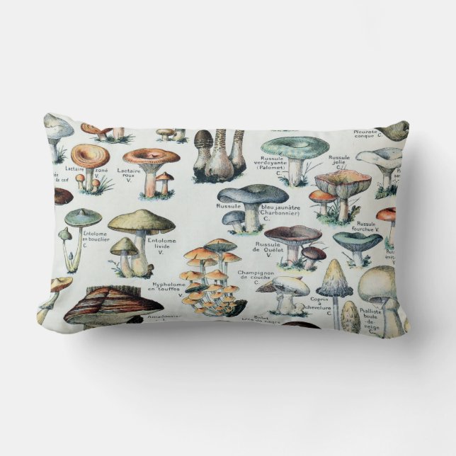  Eetbare paddenstoel Kussen (Voorkant)