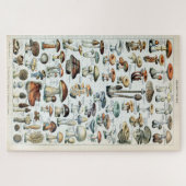 Eetbare paddenstoel Legpuzzel (Horizontaal)