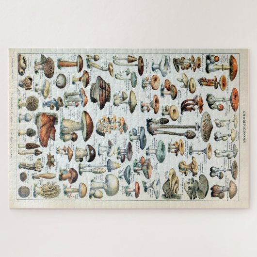 Eetbare paddenstoel Legpuzzel (Horizontaal)