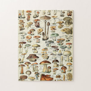  Eetbare paddenstoel Legpuzzel