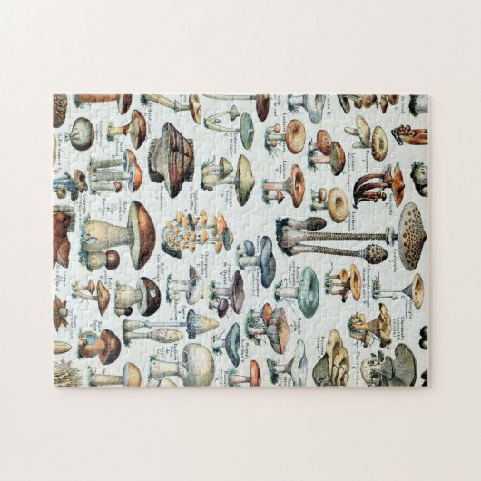  Eetbare paddenstoel Legpuzzel (Horizontaal)