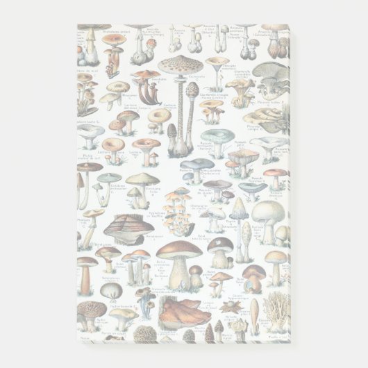 Eetbare paddenstoel Post-it® Notes (Voorkant)