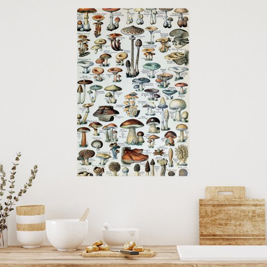  Eetbare paddenstoel Poster (Keuken)