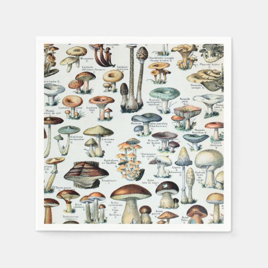 Eetbare paddenstoel Servet (Voorkant)