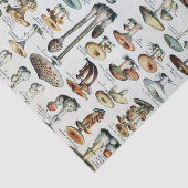 Eetbare paddenstoel Tissuepapier (Detail)