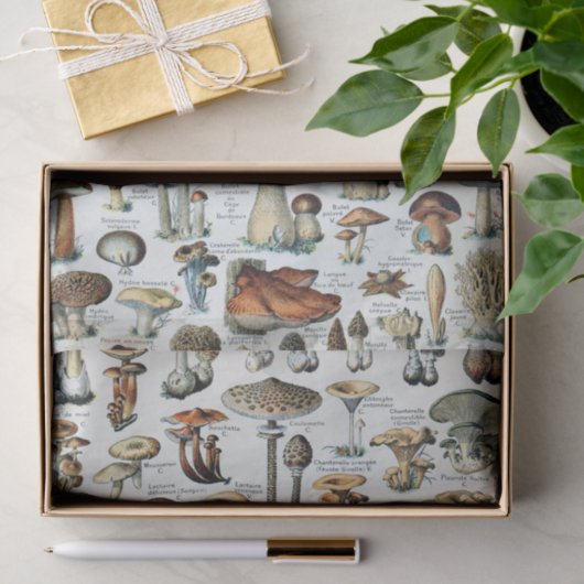 Eetbare paddenstoel Tissuepapier (Geschenk)