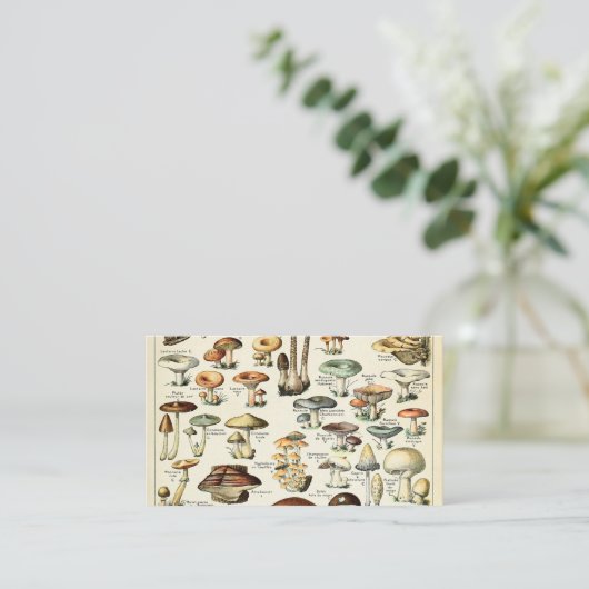  Eetbare paddenstoel Visitekaartje (Staand voorkant)