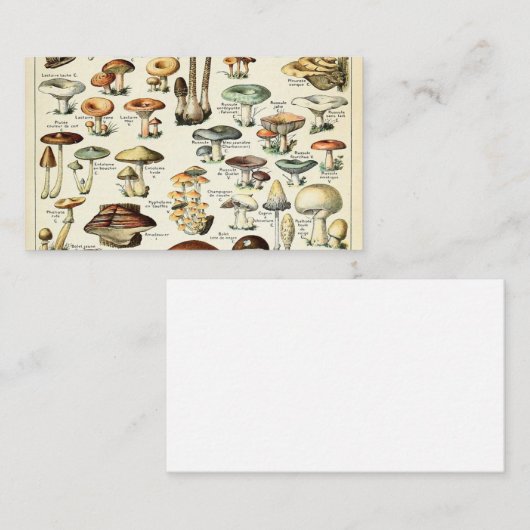  Eetbare paddenstoel Visitekaartje (Voorkant / Achterkant)