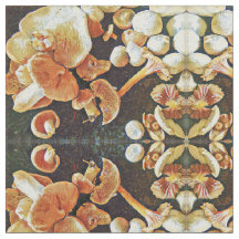 Eetbare paddenstoelen Kaleidoscoop