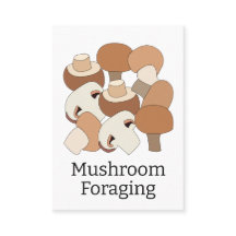 Eetbare Paddenstoelen Zoeken Professioneel