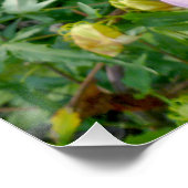 Eetbare reuzenhibiscus Flower Perfect Poster (Hoek)