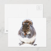 Eetdun Briefkaart (Voorkant / Achterkant)