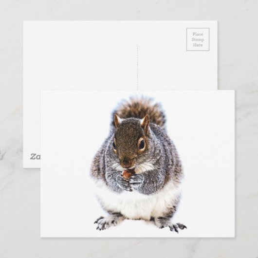 Eetdun Briefkaart (Voorkant / Achterkant)