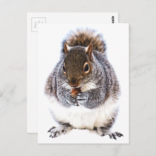 Eetdun Briefkaart (Voorkant / Achterkant)