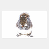 Eetdun Rechthoekige Sticker (Voorkant)