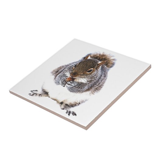 Eetdun Tegeltje (Zijkant)