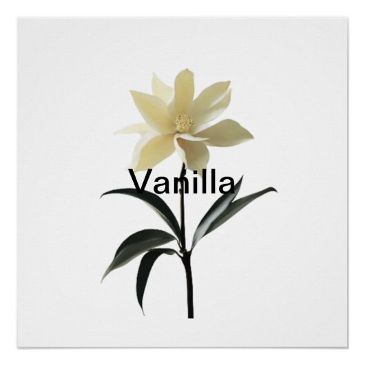 Eetherische Magnolia Grace Perfect Poster (Voorkant)