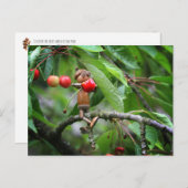 Eetkersen in de boomzomer briefkaart (Voorkant / Achterkant)