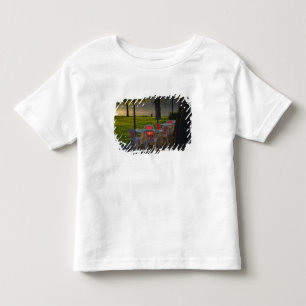Eettafel en stoelen bij de Donau, Kinder Shirts