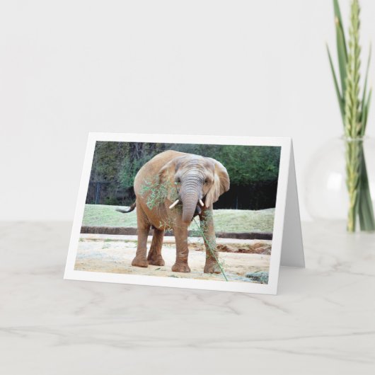 Eetvorming door olifanten kaart (Voorkant)